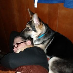 Meet your Posher, John e